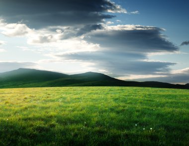 Field of grass in north mountain clipart