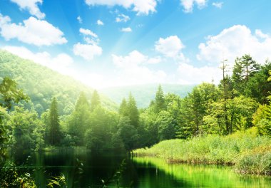 Lake in deep forest clipart