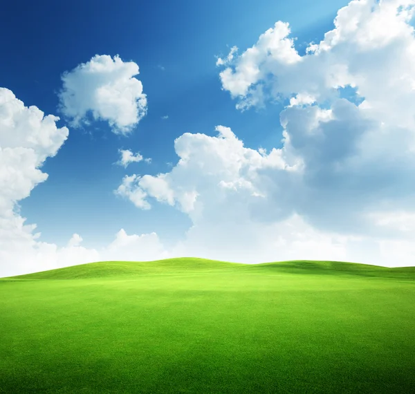 Поле травы и идеальное небо — стоковое фото