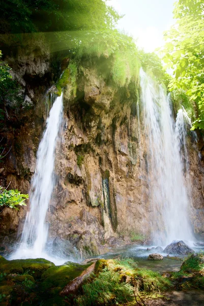 深い森の滝 — ストック写真