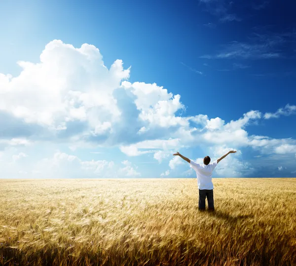 Glücklicher Junger Mann Ruht Sich Auf Weizenfeld Aus — Stockfoto
