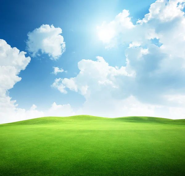 Campo de hierba y cielo perfecto — Foto de Stock