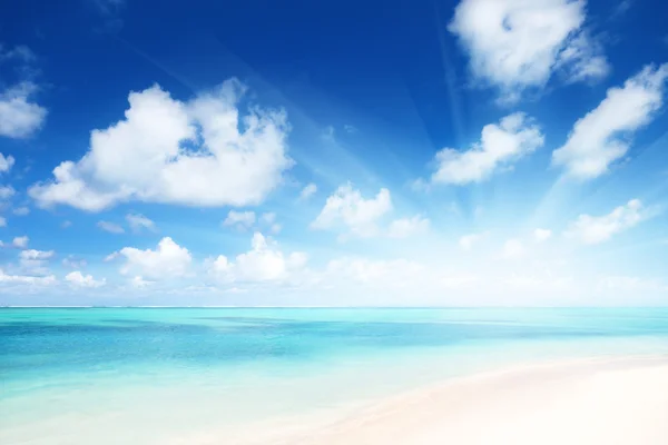 Sand Beach Caribbean Sea — Stock Photo, Image