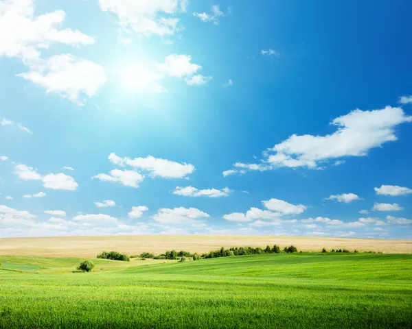 Owies pole i słoneczne niebo — Zdjęcie stockowe