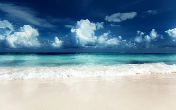 海洋与沙滩 — 图库照片