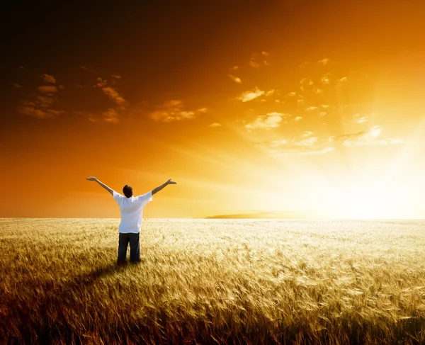 Glücklicher junger Mann ruht sich auf Weizenfeld aus — Stockfoto
