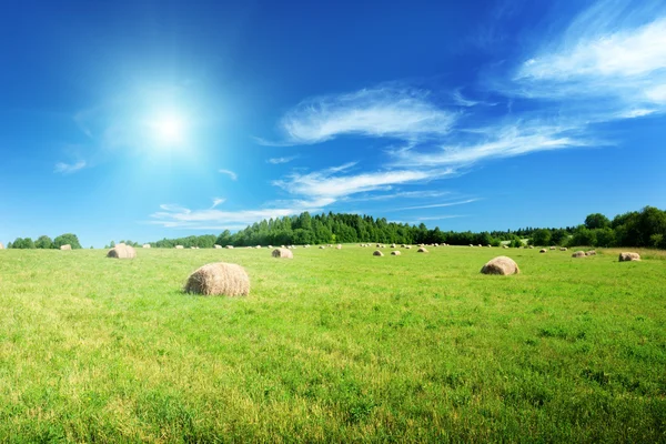 Harvested Grass Roll Perfect Sunny Day — Stock Photo, Image