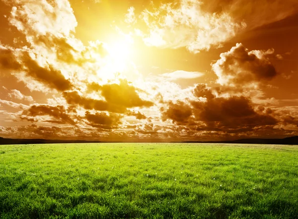 草和太阳 — 图库照片