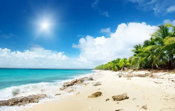 Strand Der Katalanischen Insel Dominikanische Republik — Stockfoto