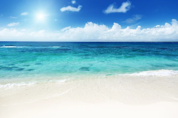 砂浜のカリブ海の砂 — ストック写真