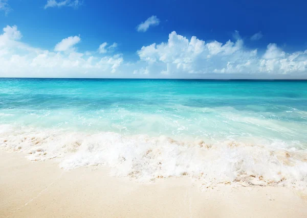 Морем і піском — стокове фото