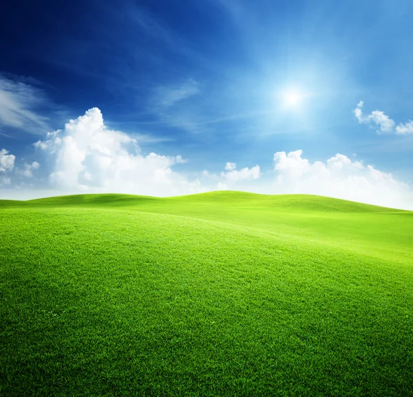 Groen veld en blauwe lucht — Stockfoto
