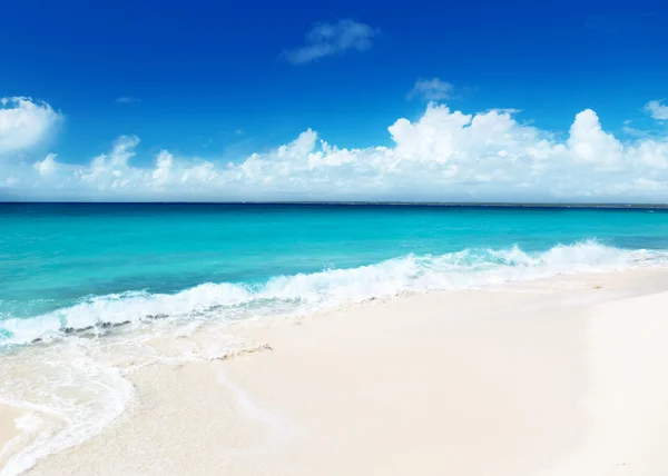 Piasek Morza Karaibskiego Plaży — Zdjęcie stockowe