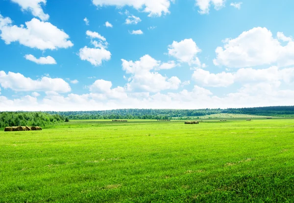 Зібрана трава в рулоні і ідеальний сонячний день — стокове фото