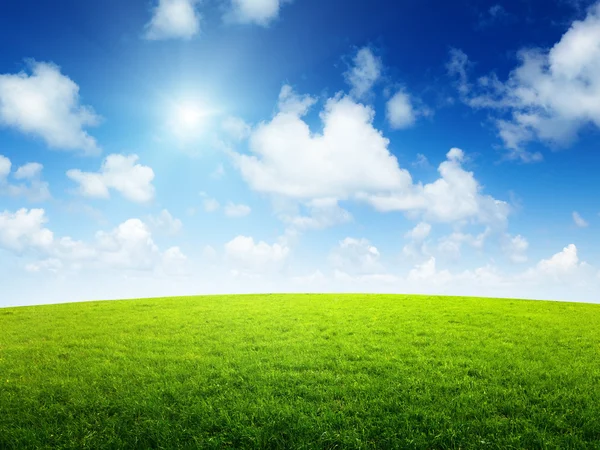 Campo verde e giornata di sole — Foto Stock