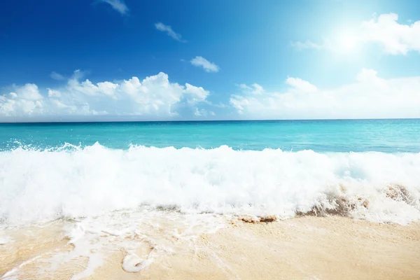 砂浜のカリブ海の砂 — ストック写真