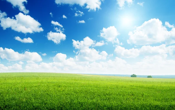 绿色的原野和阳光灿烂的日子 — 图库照片