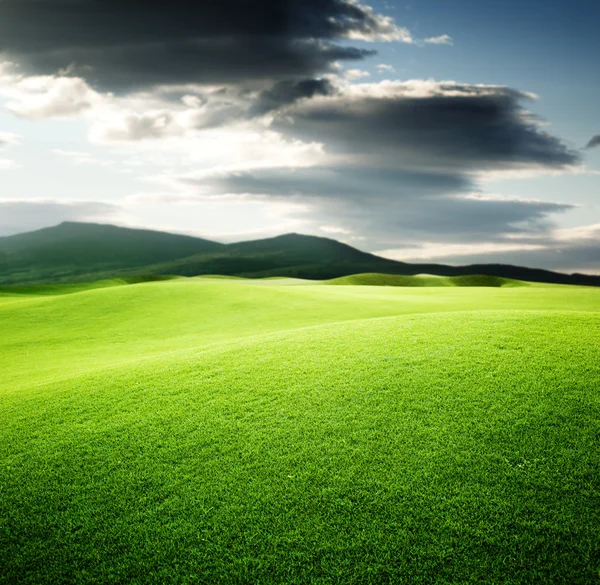 Зелене Поле Захід Сонця — стокове фото