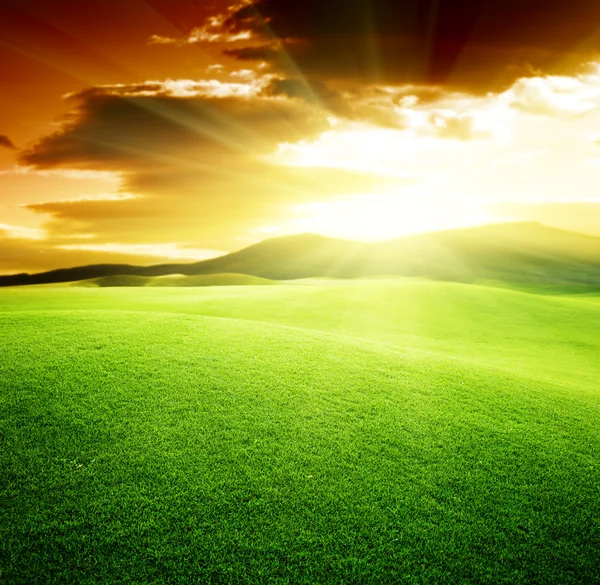 Πράσινο πεδίο και ηλιοβασίλεμα — Φωτογραφία Αρχείου
