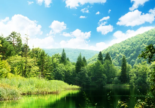 Lake in deep forest — Stock Photo, Image