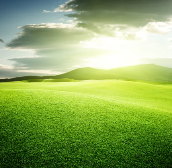 Grüne Wiese Und Sonnenuntergang — Stockfoto