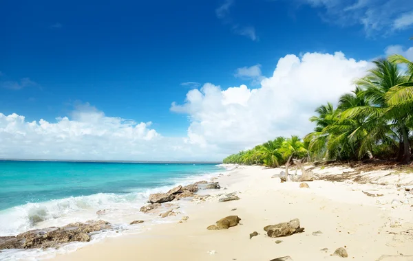 Beach Catalina Island Dominican Republic Stock Photo