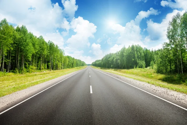 Road Russian Forest Royalty Free Stock Images