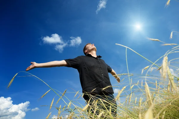 Happy young man rest on wheat field Royalty Free Stock Photos
