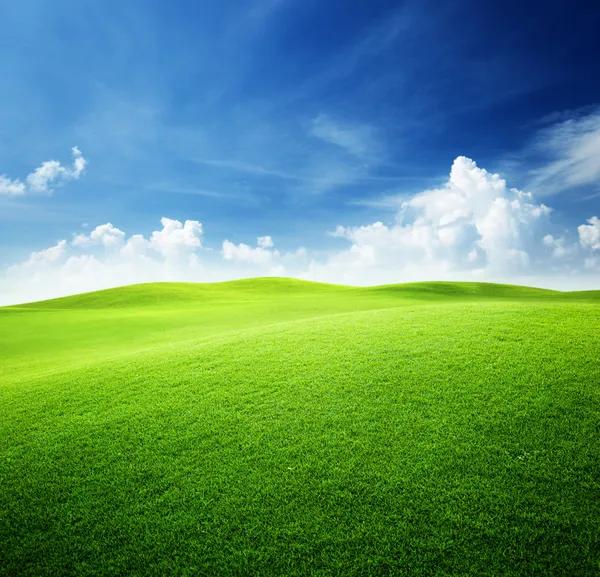 Groen veld en blauwe lucht Stockfoto