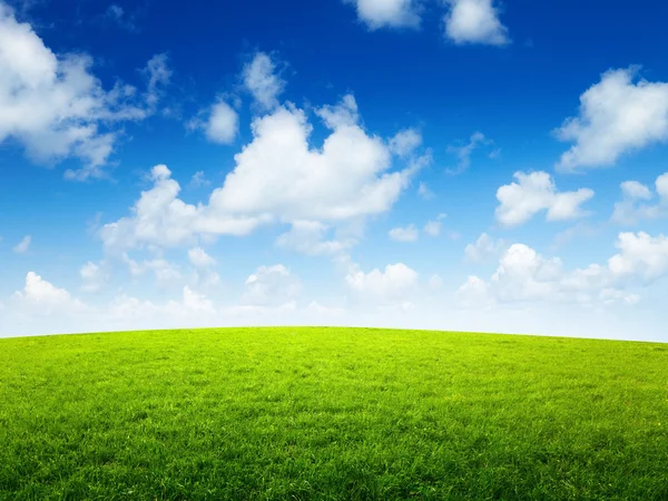 绿色的原野和阳光灿烂的日子 免版税图库照片