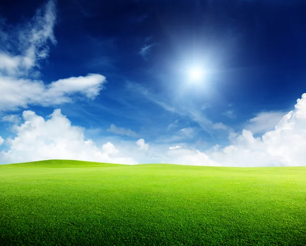 緑の野原と晴れた日 ストック画像