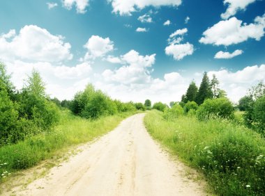 ground road and summer sunny day clipart