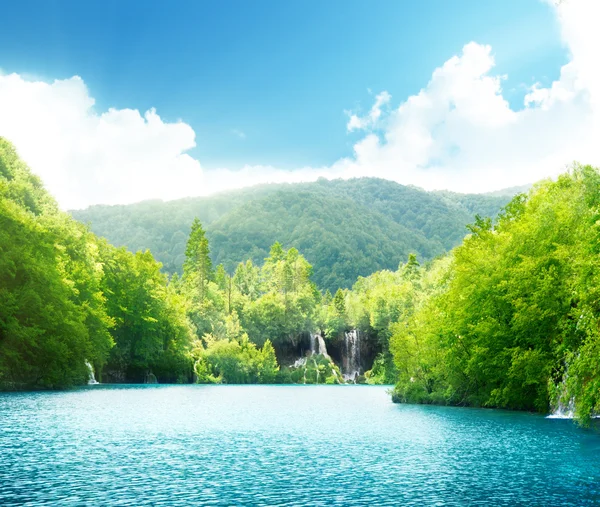 Lago na floresta profunda — Fotografia de Stock
