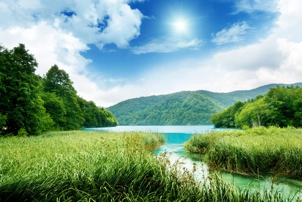 Derin Forest Lake — Stok fotoğraf