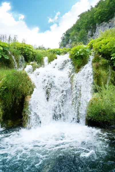 Waterval Het Diepe Bos Van Kroatië — Stockfoto