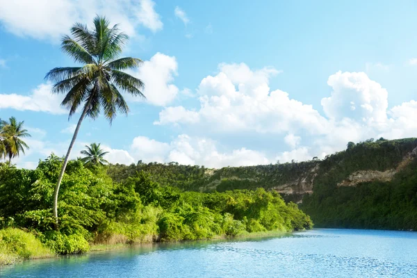 Flod Dominikanska — Stockfoto