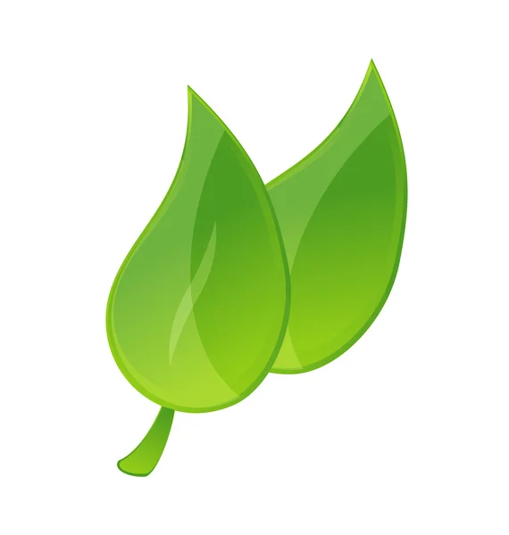 Зеленые листья — стоковый вектор