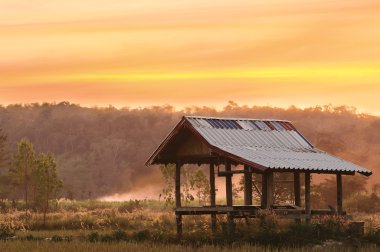 Abandoned house in rural forests. At sunset clipart