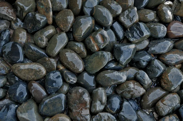 stock image Small stone wet.