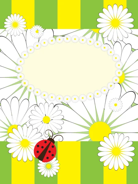 Greeting card with ladybird — Stock Vector