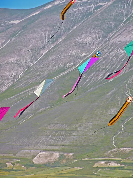 飛行凧 — ストック写真