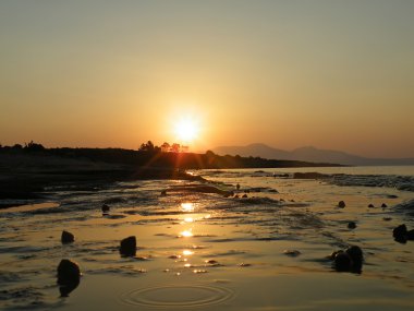 gythio sahilde kabukları binlerce tekne-Tepesi üzerinde ortaya çıkar. Yunanistan, Ağustos 2010