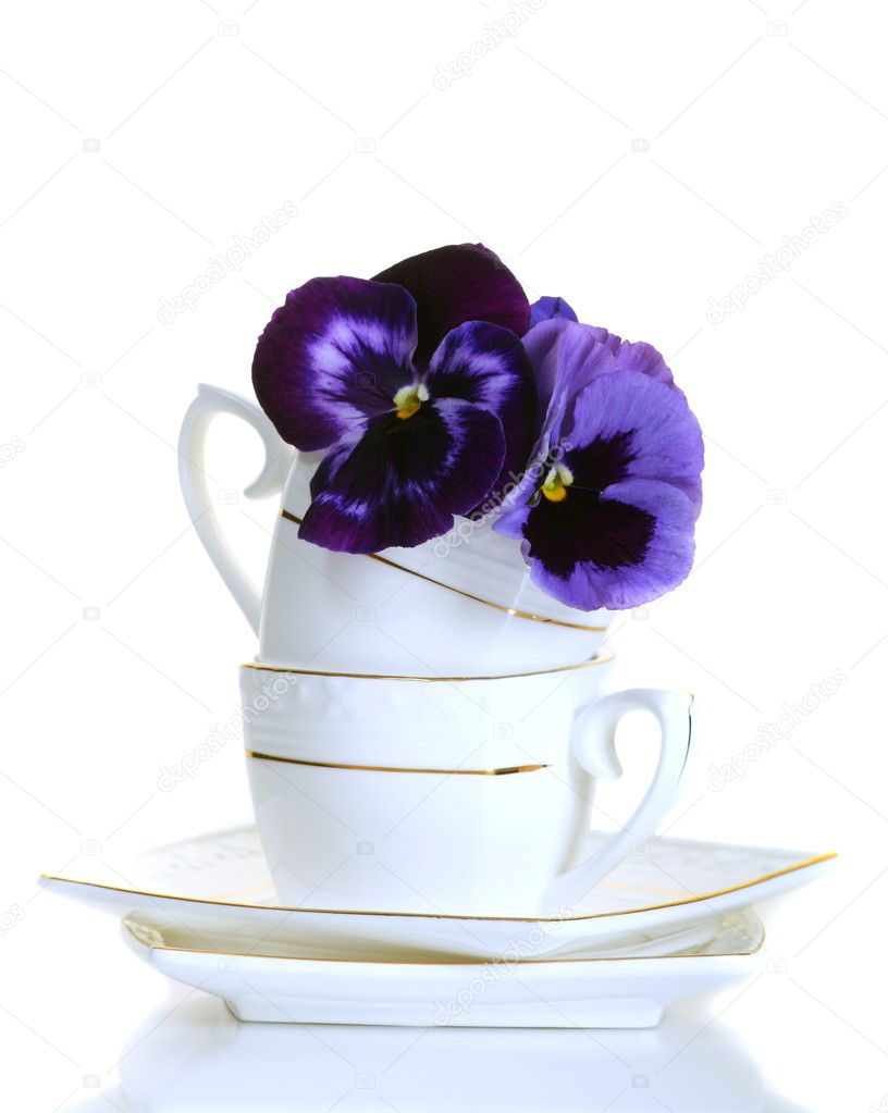 Violet flowers in a coffee cup on a white background. — Stock Photo