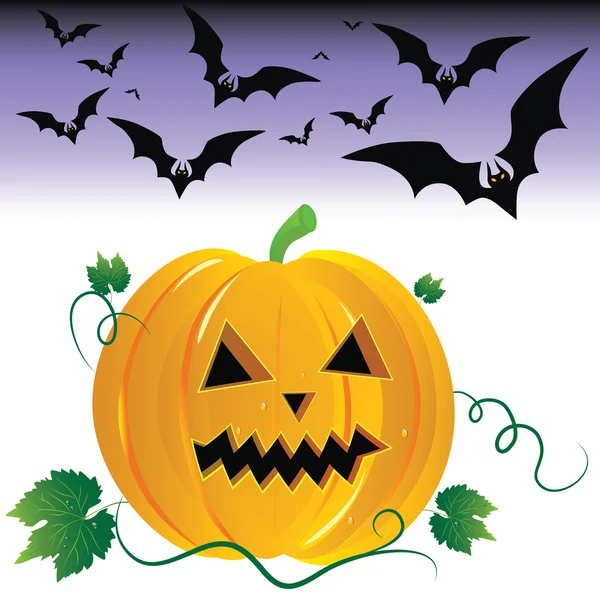 Abóbora de Halloween e morcegos noturnos . — Vetor de Stock