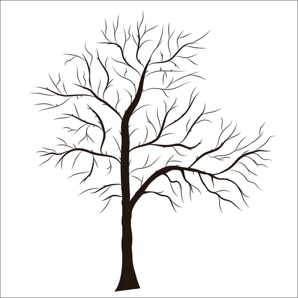 Sílhueta Árvore Vetor Detalhado Elemento Para Design —  Vetores de Stock