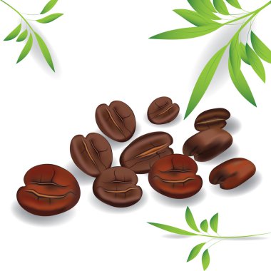 Coffee grain. Photo-realistic vector. Element for design. Image contains gradient mesh clipart