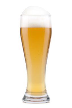 Light bira cam