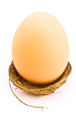 One egg in small nest isolated on white clipart