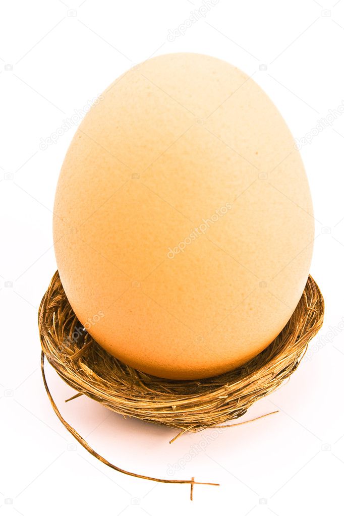One egg in small nest isolated on white