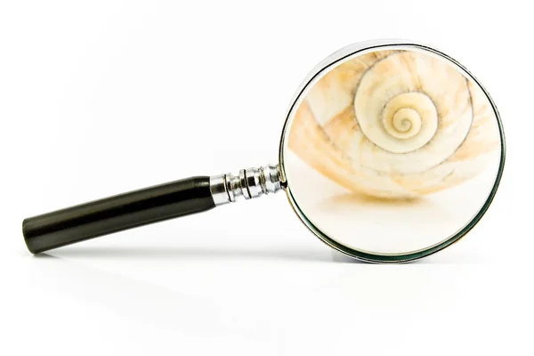 Förstoringsglas framför en spiral shell — Stockfoto